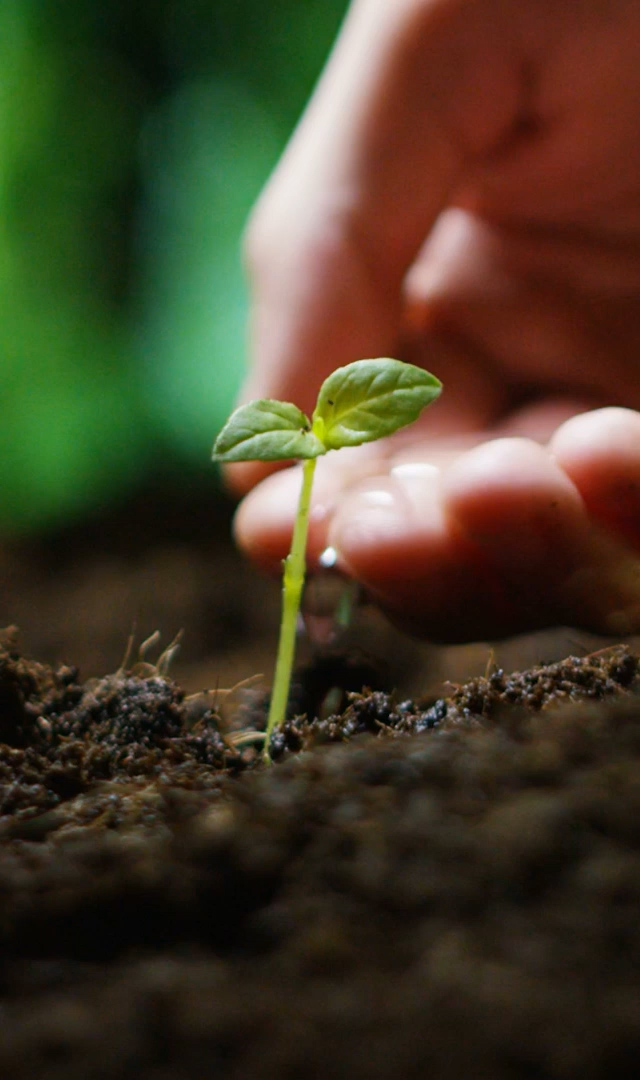 JKホールディングス株式会社